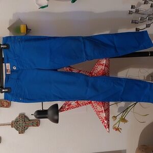 Super cute true blue lowrise skinny pants